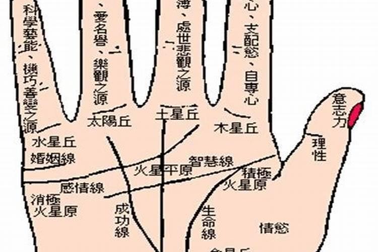 两个人合不合是看属相还是看八字 八字合婚的注意事项？