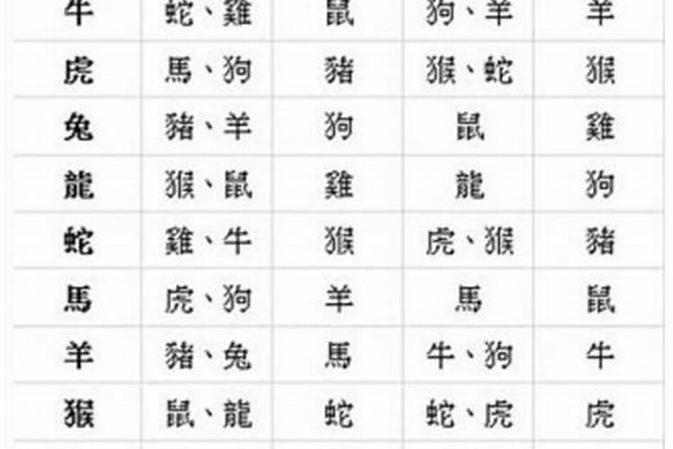 什么是下等婚配,下等婚配就不会幸福吗