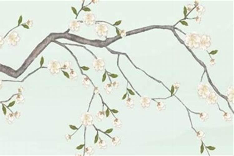 八字算命婚姻不顺怎么化解