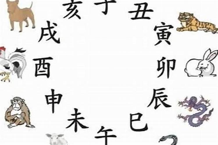 上海汇龙陵园冬至扫墓交通安排