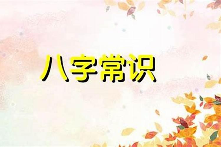 1978年的马2024年的财运如何