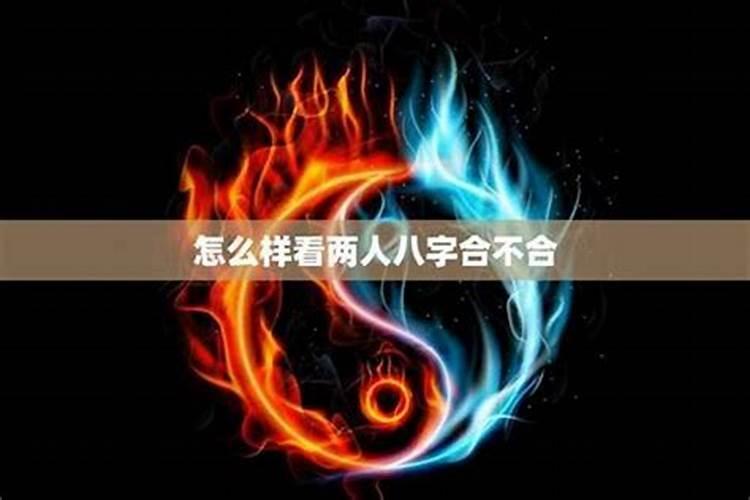 八字合婚是怎么合的？