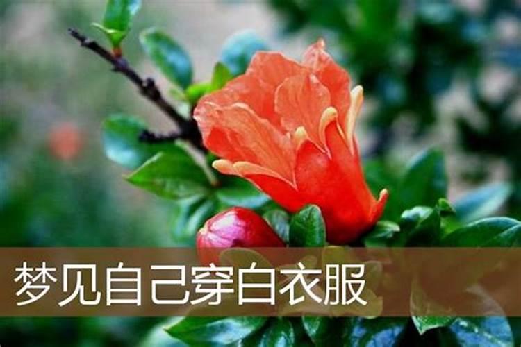 为什么会做梦梦到前任？
