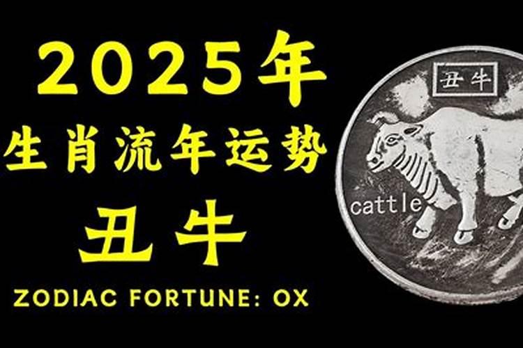 门口放什么防小人最好