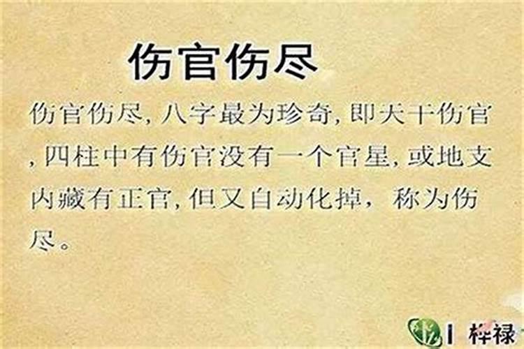 丙戌什么格局最旺运势
