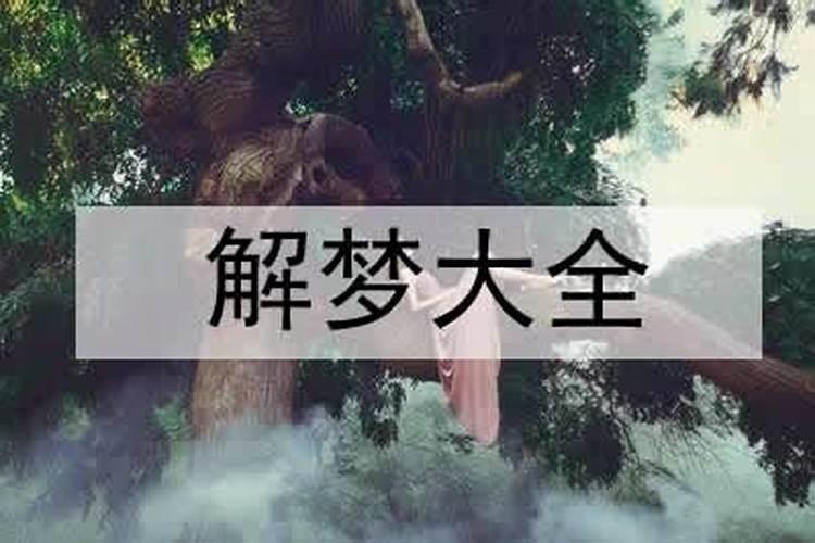 梦见朋友掉到了河里的预兆