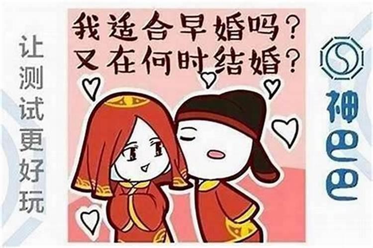 属猪犯太岁？