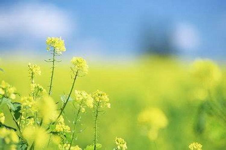 7月15出生的人很特别 农历7月15日出生的人命运
