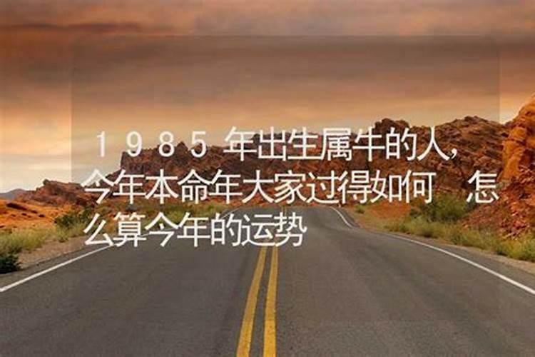 寿生债正确正规的还法