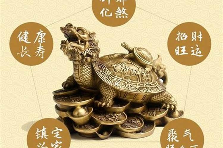 风水吉祥物:龙龟的摆放方法及禁忌