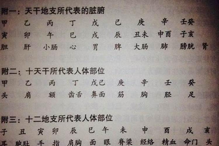 八字算命如何算