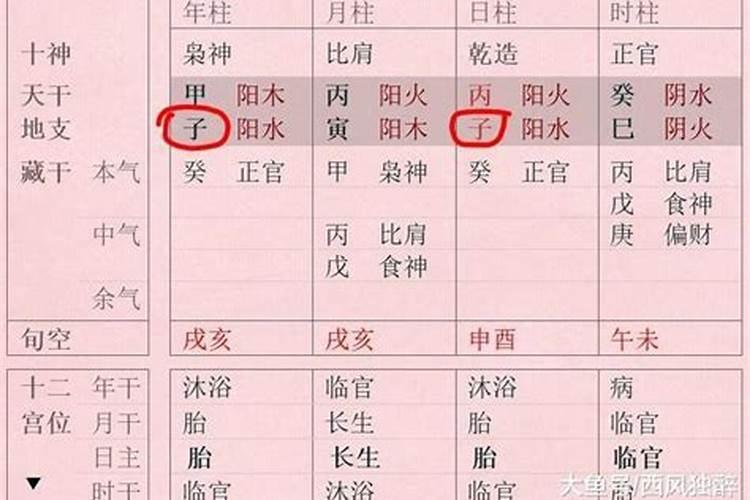 1987年属兔2025年的运势及运程如何