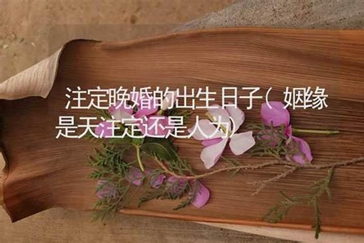 每个人配偶都是注定的吗姻缘天定半点不由人是什么意思