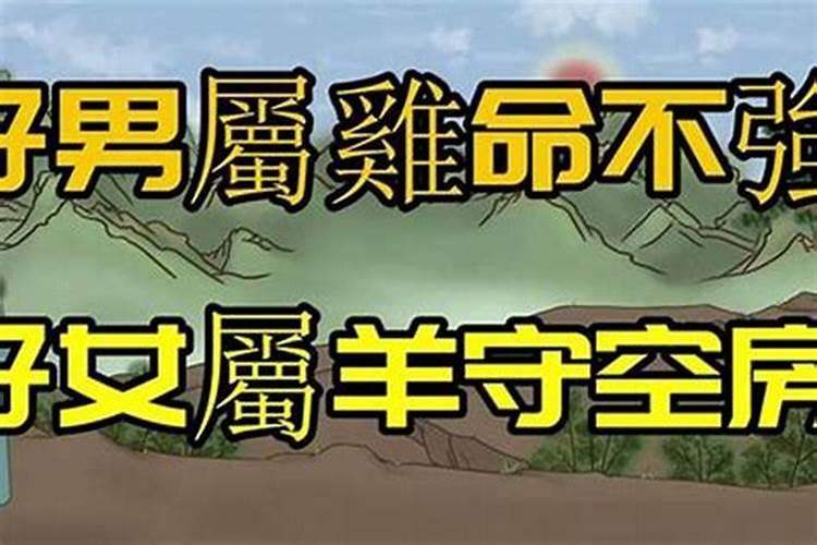 一人睡觉为什么不能放两个枕头