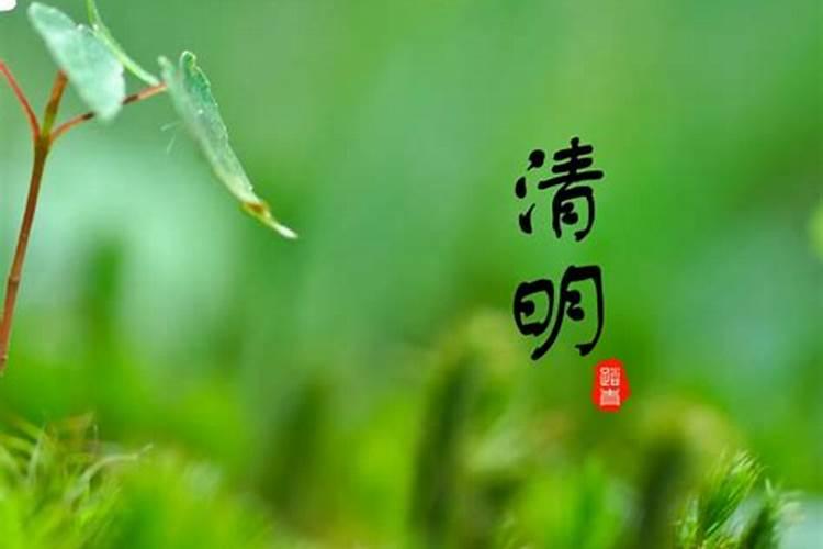 清明节烧纸什么时候烧最好