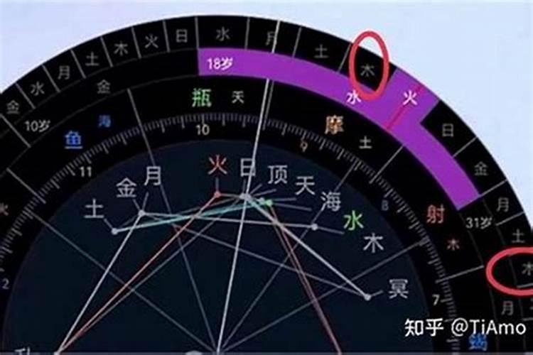 合婚姻:属蛇和属狗的八字配不配 能做夫妻吗