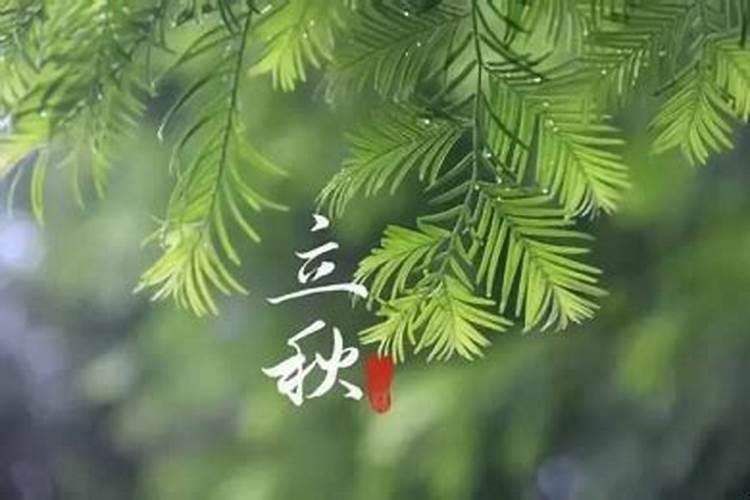 事业运和财运的差别是什么