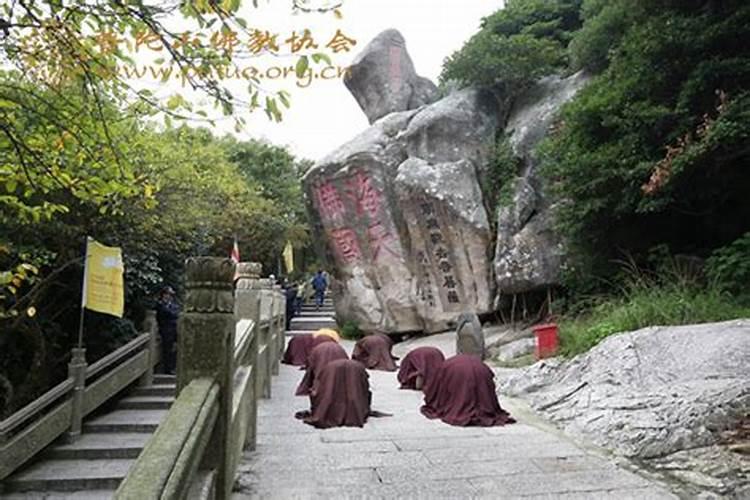 我今年蛇年本命年,睡觉中梦见蛇是什么意思？