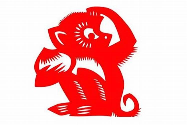 生肖属猴今年运气如何