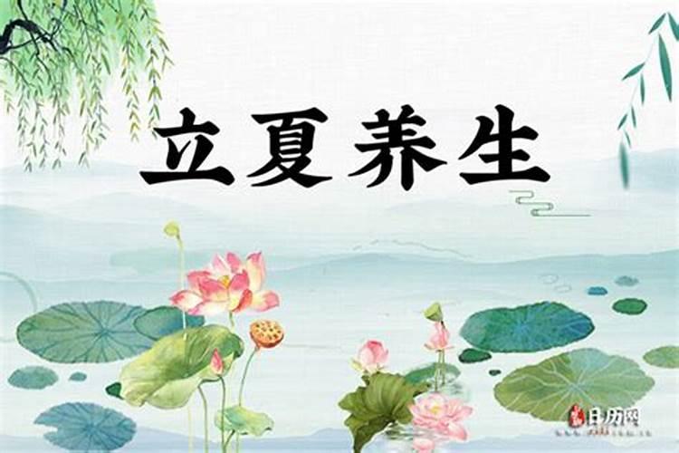 八月的鸡命运如何