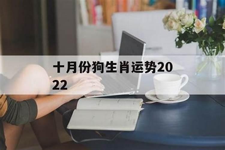 2025年属狗人的全年每月运势