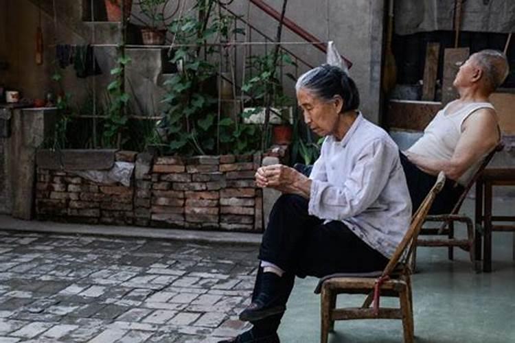 属鸡和属狗的适合做夫妻吗 属鸡和属狗做夫妻好吗