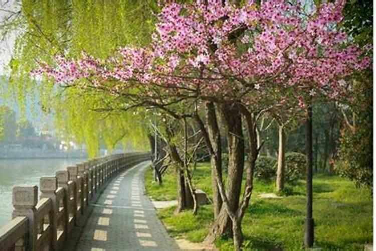 四季划分时间月份