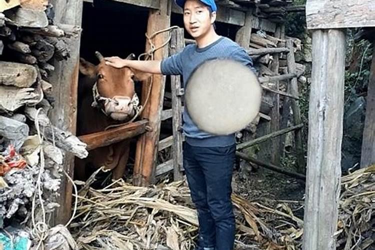 腊月二十七出生的男孩八字硬不硬 一生财务丰足？