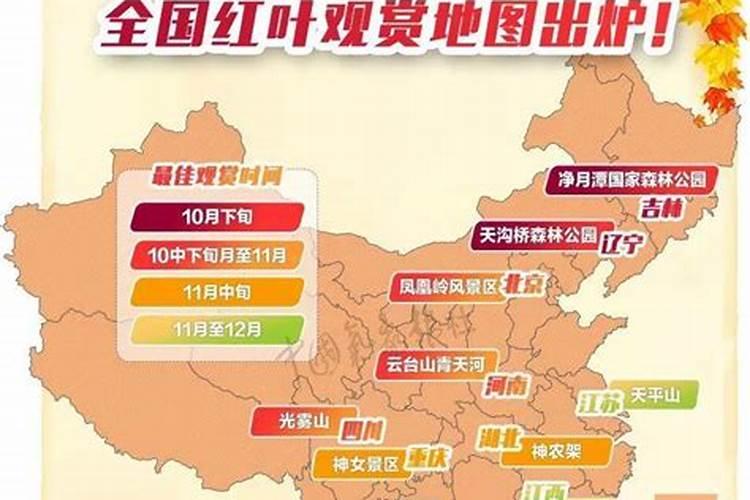 寒衣节可以上坟吗 寒衣节上坟有什么禁忌