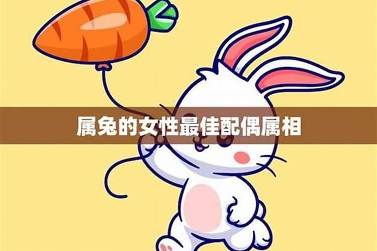 属兔的最佳配偶 属兔配什么生肖最好