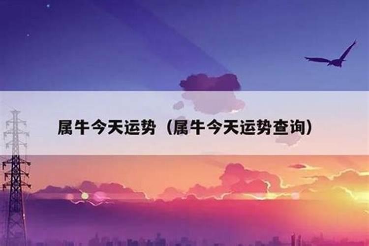 化解犯太岁最佳方法2025年