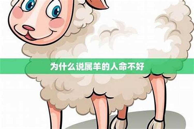 命带桃花煞多情之命