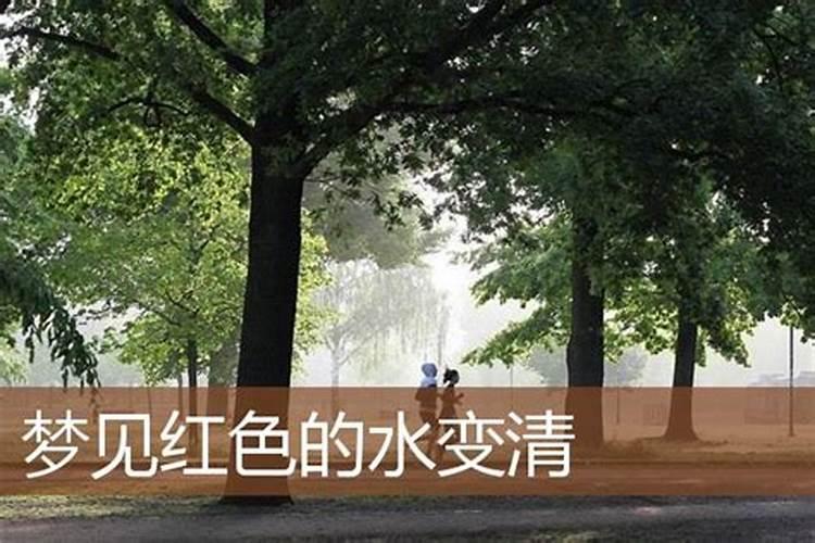 属龙男2025年财运如何