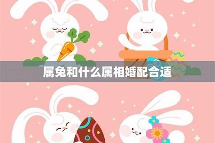 属羊人2025年运势及运程
