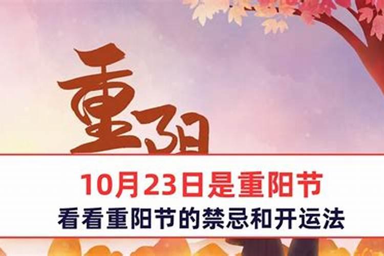 属马1978年46岁走大运 76年属马人46岁运势