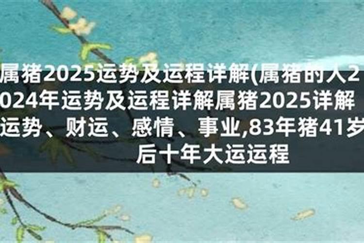 生肖猪2025年运势 属猪2025年运势及运程