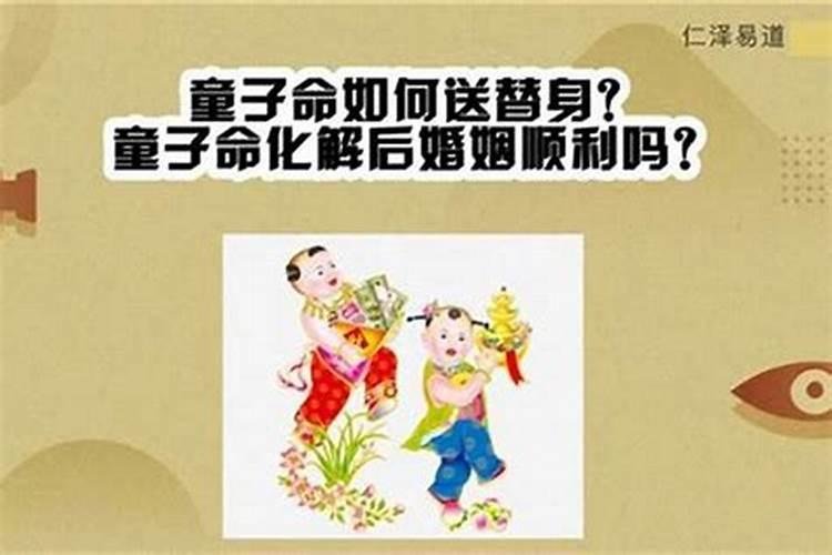 属龙是什么命金木水火