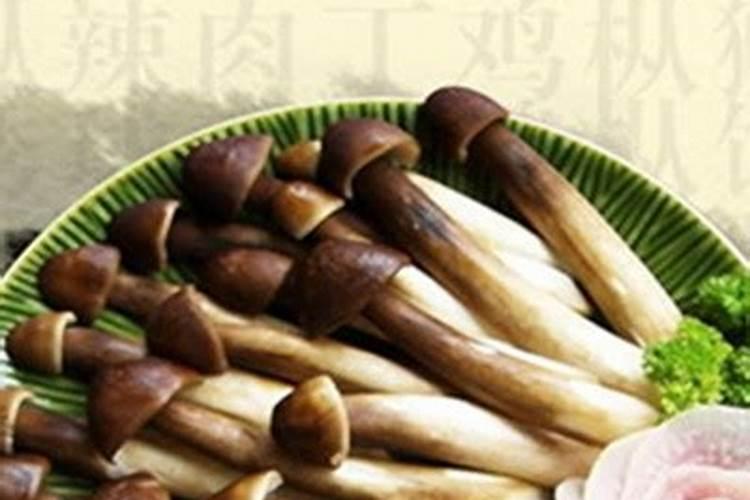 茶水分离杯漏水怎么办