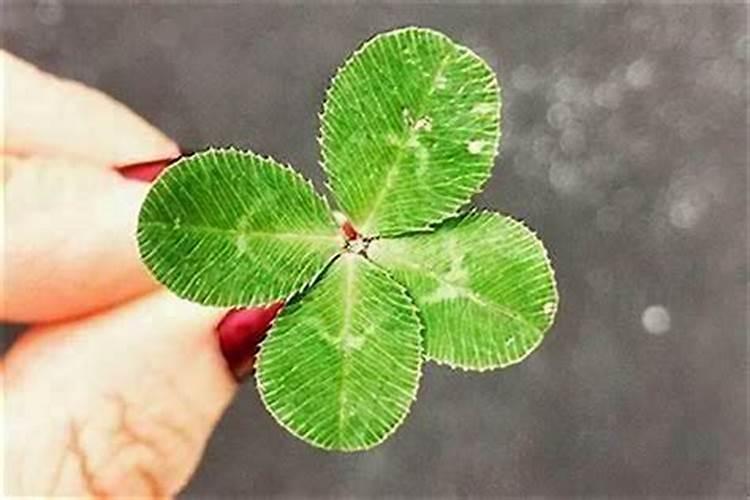 六爻测卦,两个妻财管我这个卦意像在说什么？