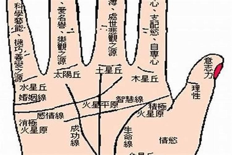 78年属马2025年运势如何