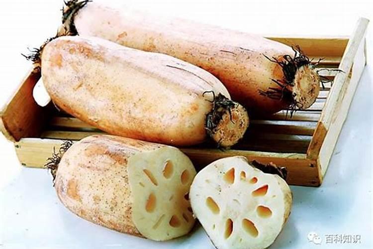 当官掌权的八字特征 什么八字有当官命？