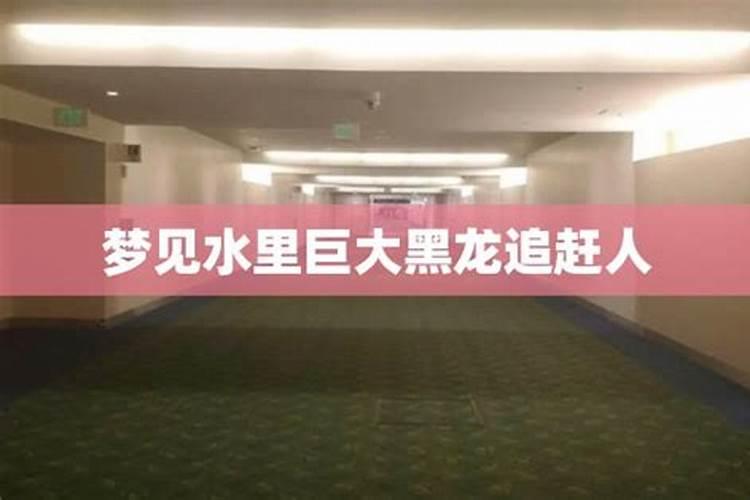 1971年属什么生肖 1971年属什么生肖年