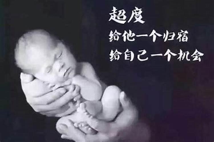 84年属鼠女和87年属兔男配吗 87年属兔男的最佳婚配对象