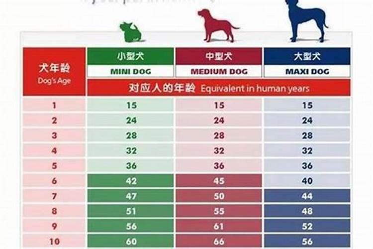 怎么能把身边的小人除掉