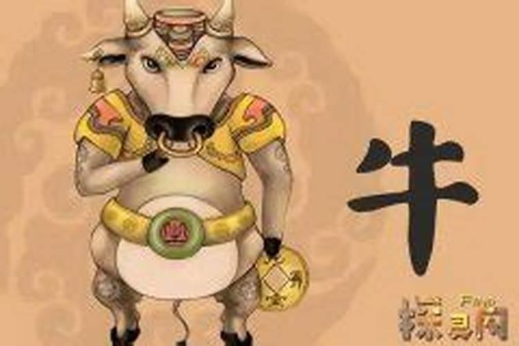 牛年哪些属相需要躲星属牛的本命年忌讳什么属相？