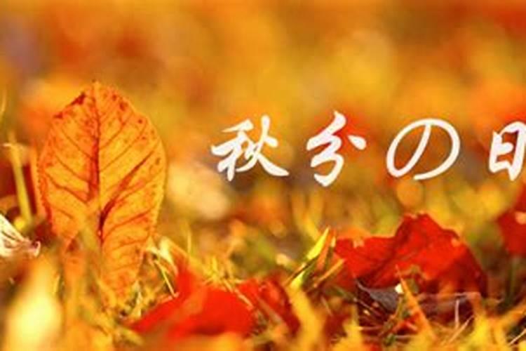 1996年阴历三月十五日属鼠的,是什么命