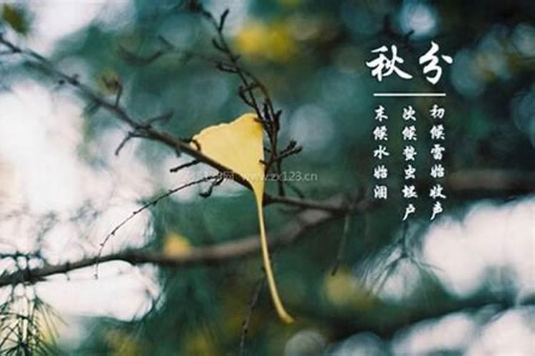 属鼠 女 84年农历三月十五夜里十二点一刻 请算姻缘与事业