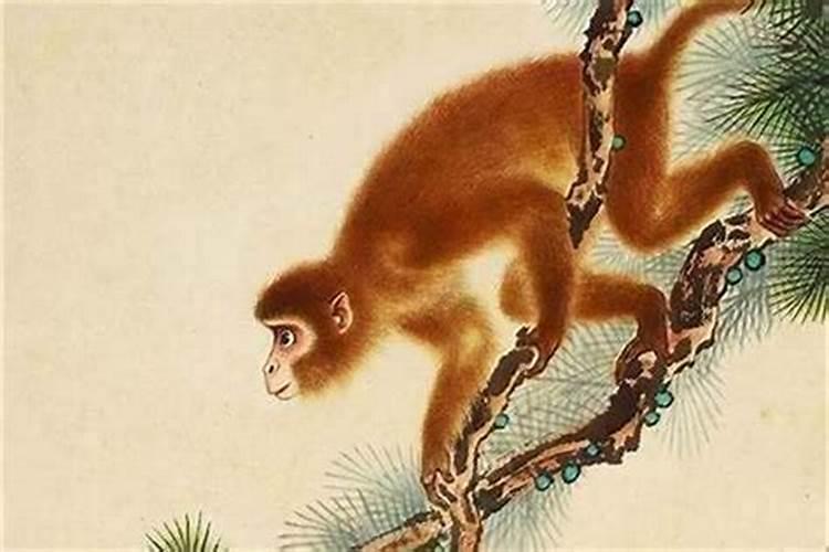 68年猴2025年运势如何