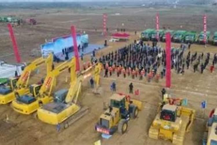 2025命犯太岁四大生肖是什么