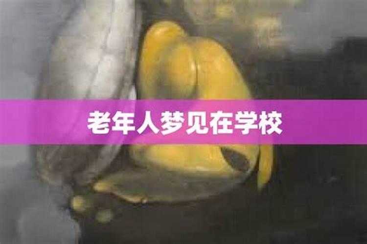 1972年农历11月23日辰时出生今年的运程如何